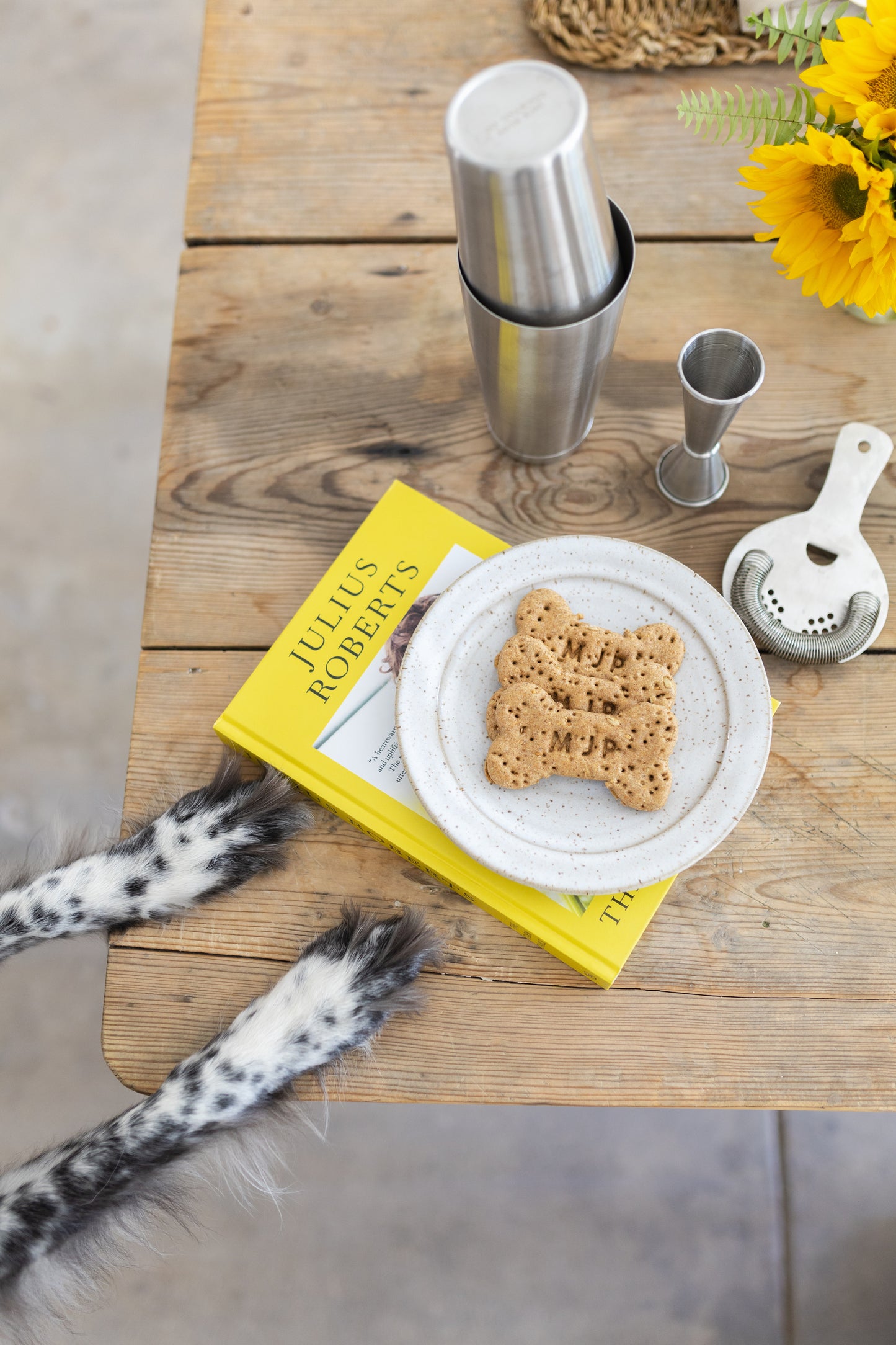 Organic Dog Treats