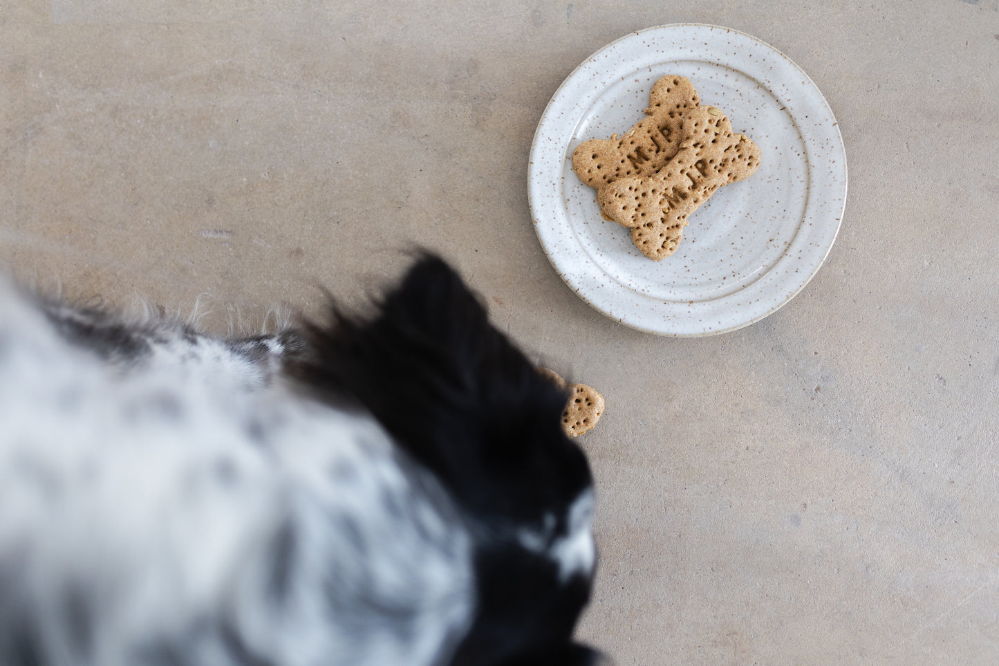 Organic Dog Treats