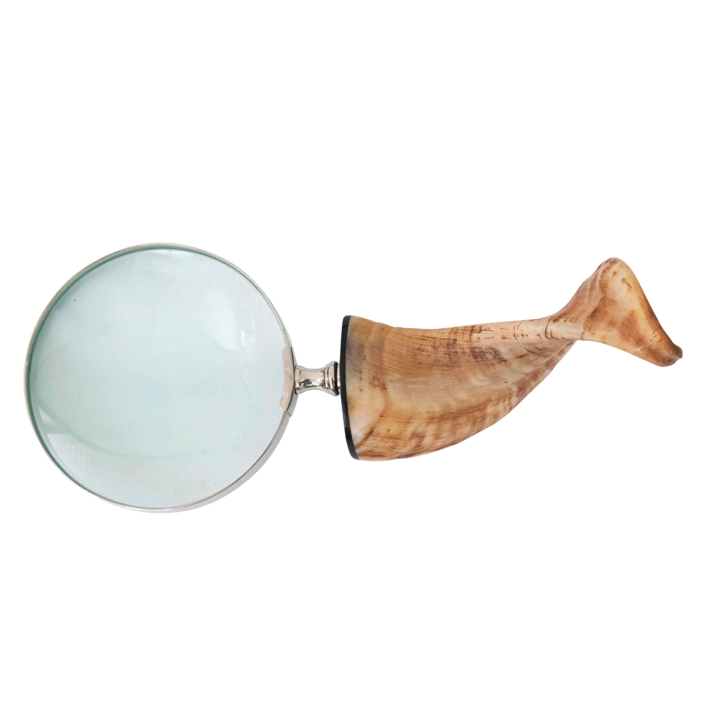 Stainless Steel Magnifying Glass with Horn Handle