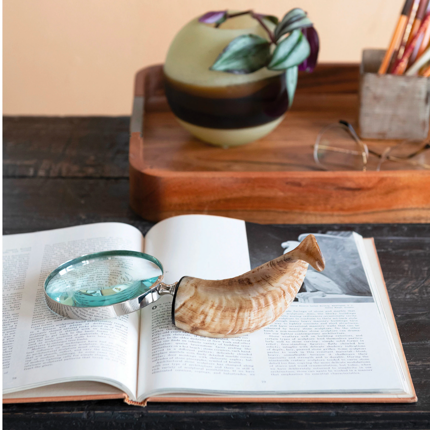 Stainless Steel Magnifying Glass with Horn Handle