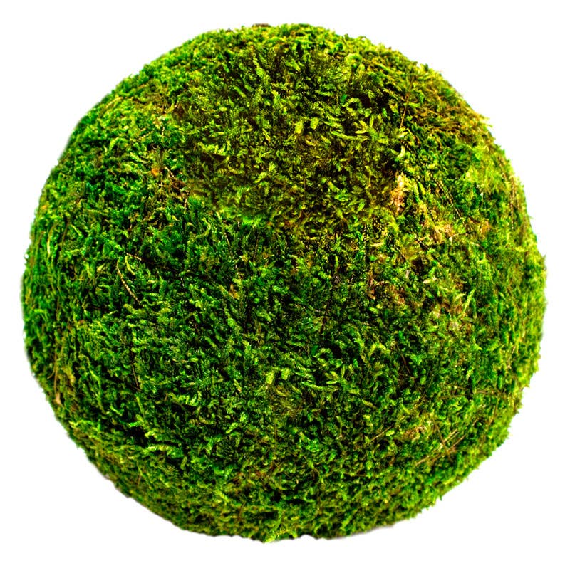 Moss Balls 6in