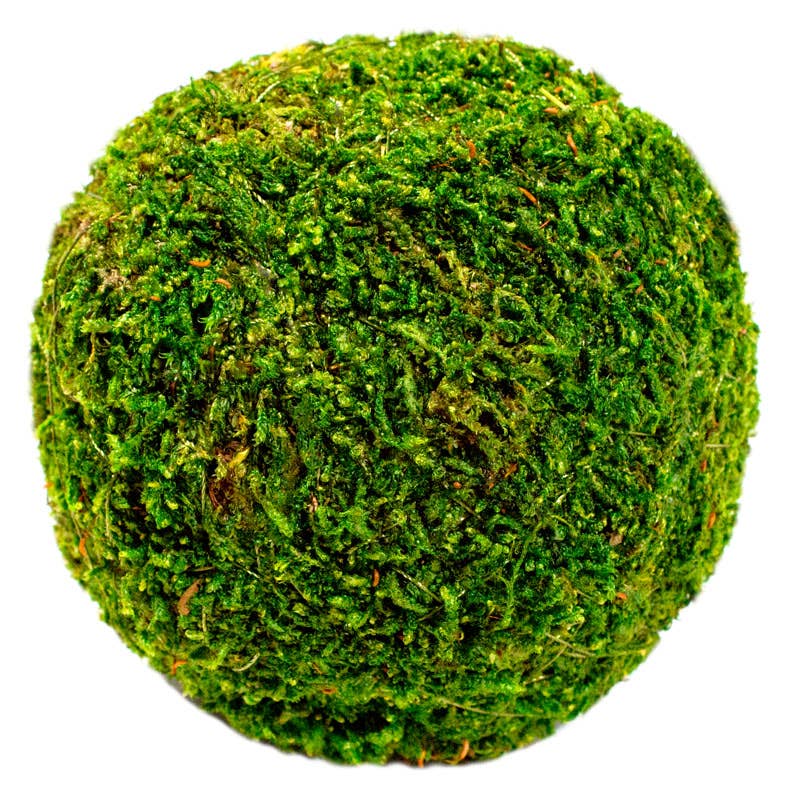 Moss Balls 4in