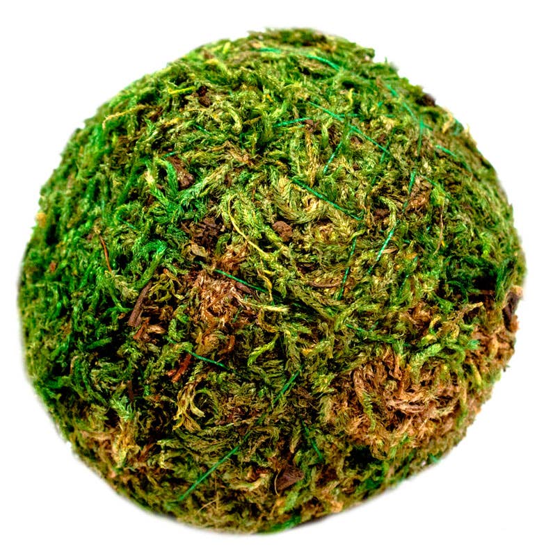 Moss Balls 2in