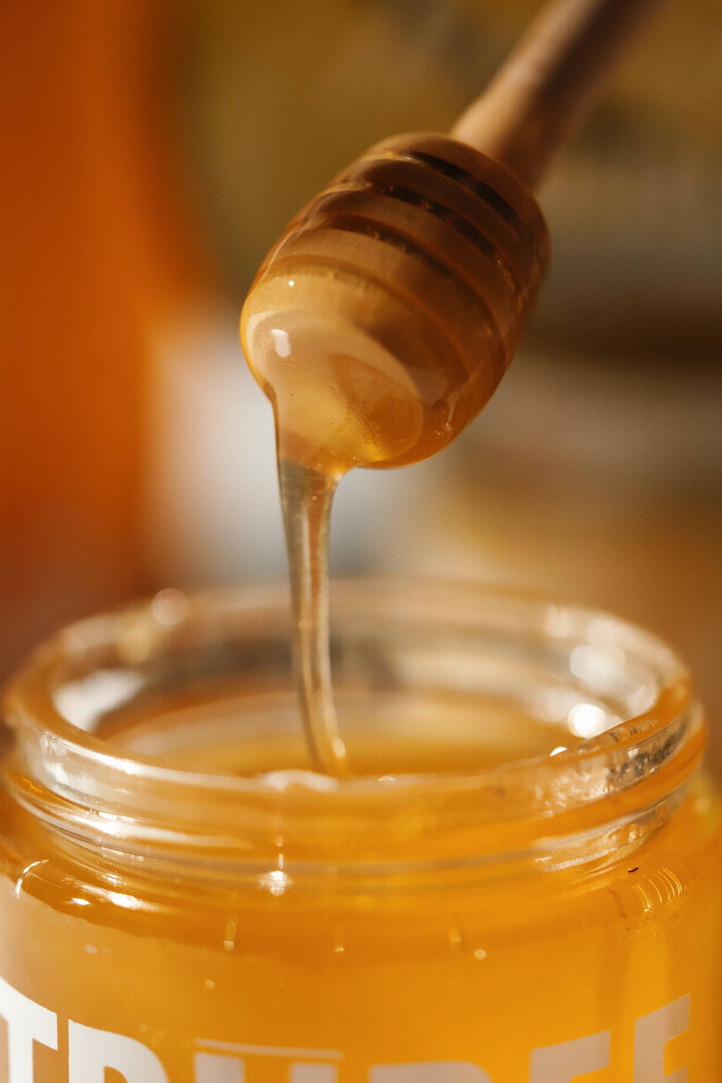 Trubee Honey 10oz