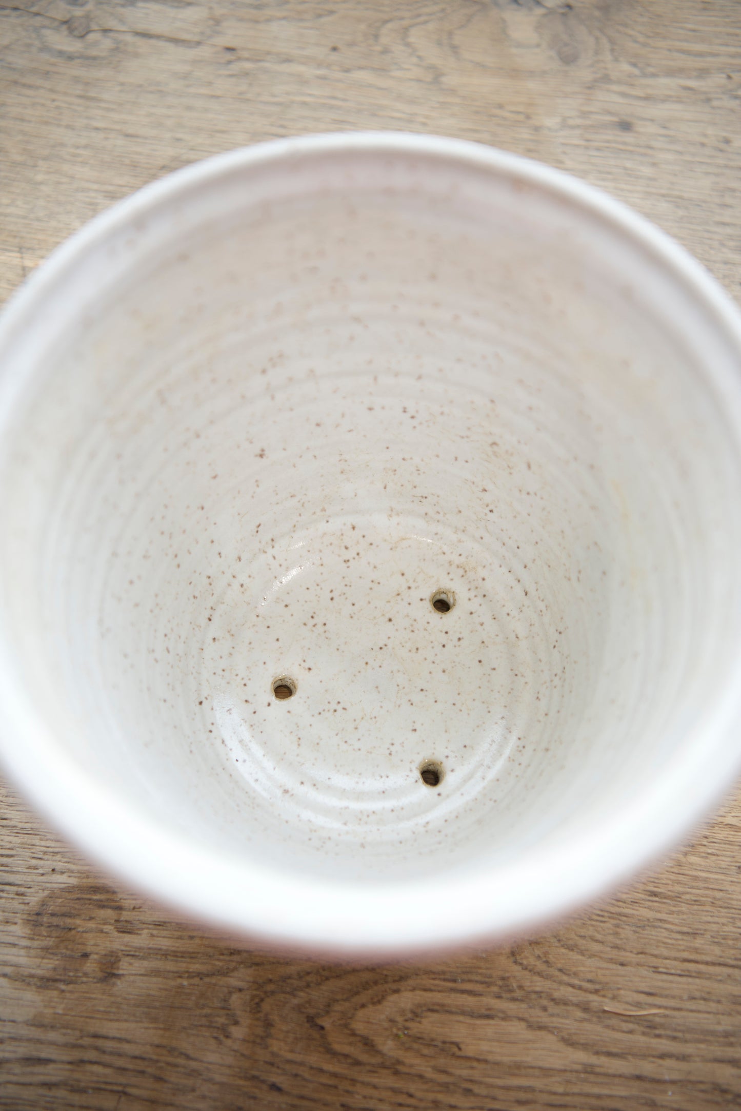 Planter  no. 4