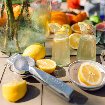 Aluminum Hand Juicer