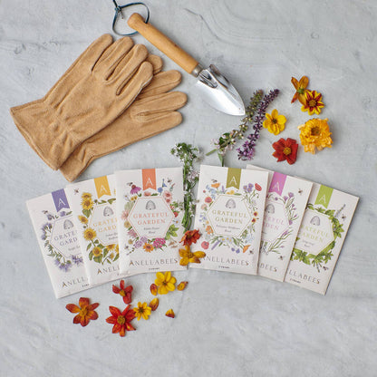 tansy flower seeds Purple Tansy Pollinator Garden Seeds – molliejenkinspottery