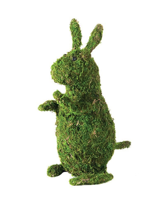 Moss Bunny