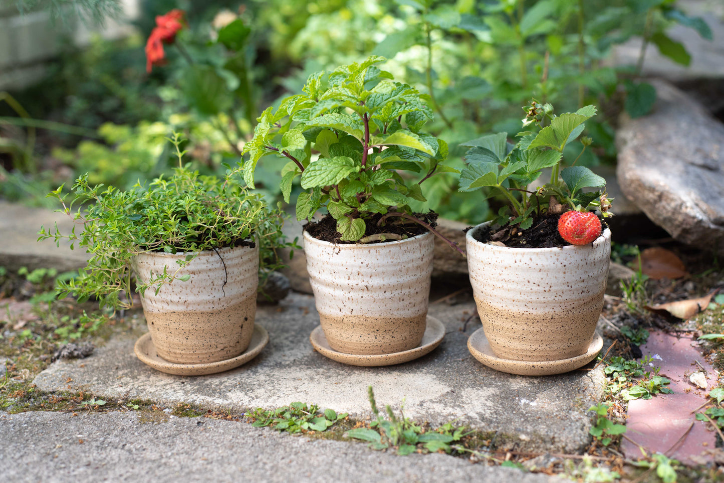 Mini Planter