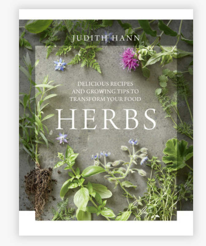 Herbs by Judith Hann